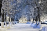 Кострома | зима зима
